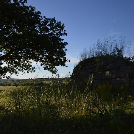 B&B La Genziana Fonni Exteriör bild