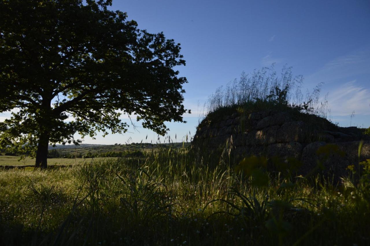 B&B La Genziana Fonni Exteriör bild